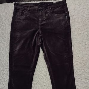 Women's Suki Velvet Pants by Silver Jean Co.